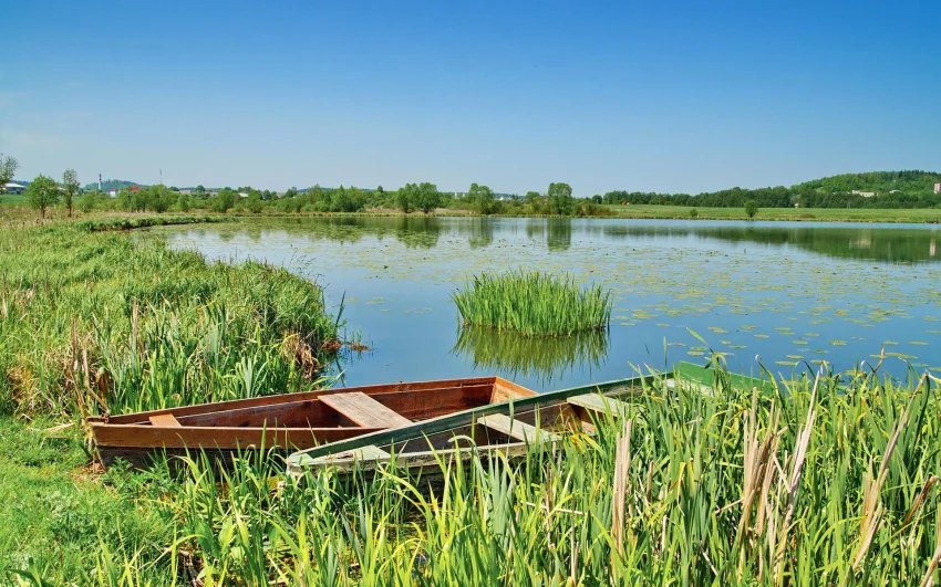 Watercraft Boat Insurance in Rock Hill, SC, Columbia, SC, Charlotte & Nearby Cities